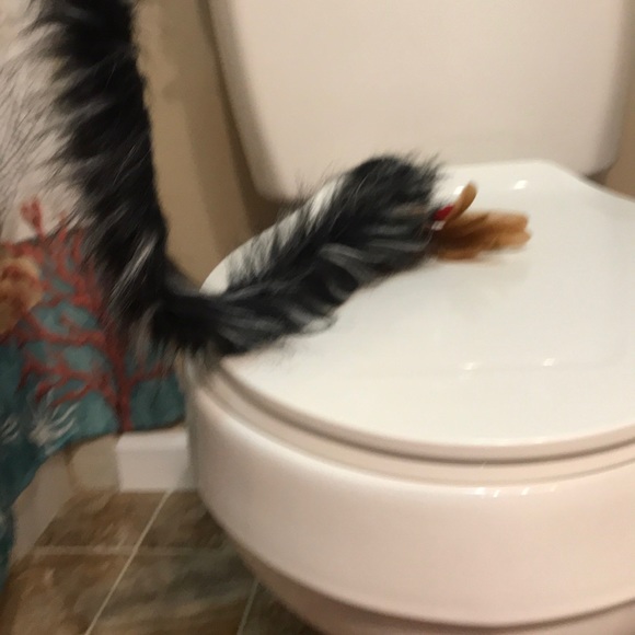 Cat toy - Picture 5 of 6